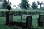 Cmentarz Mennonitów w Stegnie